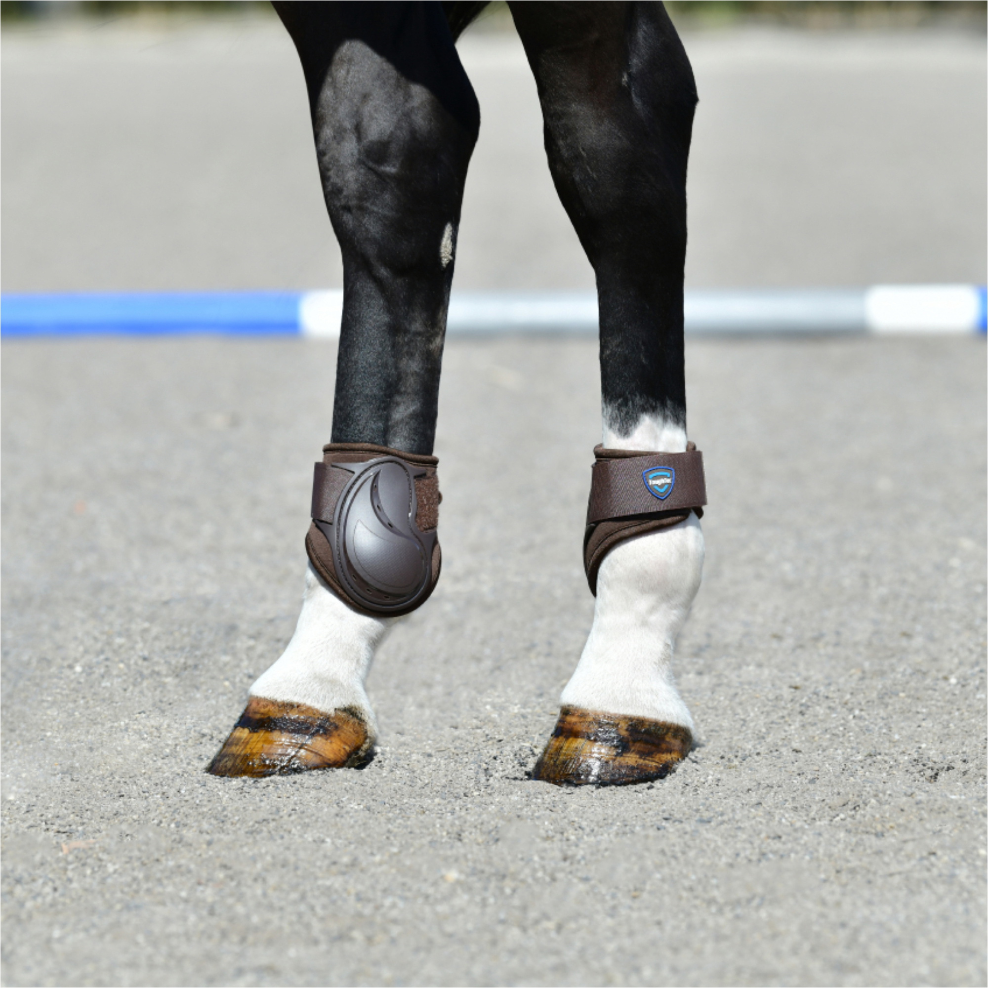 2025 Weatherbeeta Tough-Tec Essential Fetlock Boots 1027514 - Brown